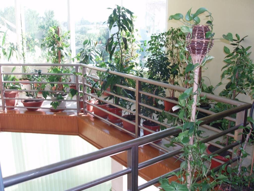 Motel Lav Čapljina Buitenkant foto